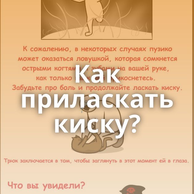 Как приласкать киску?