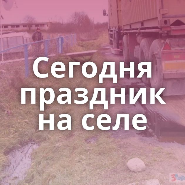 Сегодня праздник на селе