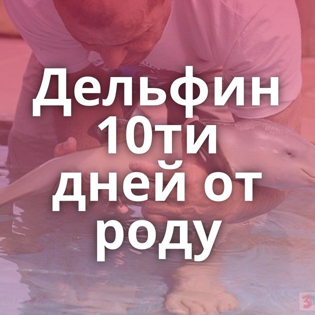 Дельфин 10ти дней от роду