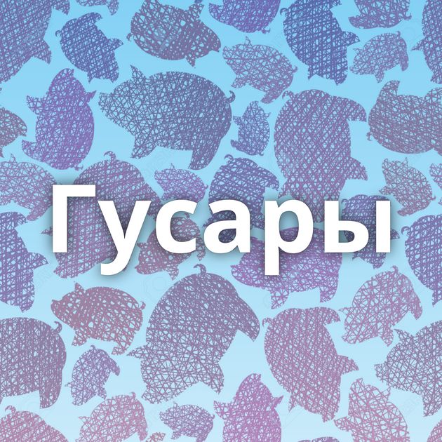 Гусары