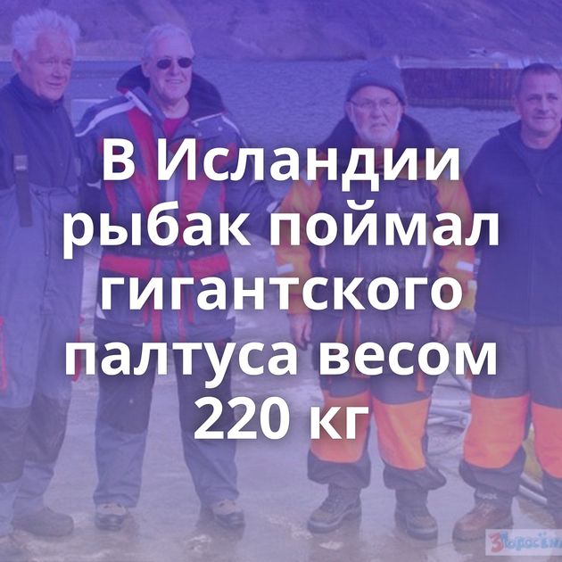 В Исландии рыбак поймал гигантского палтуса весом 220 кг