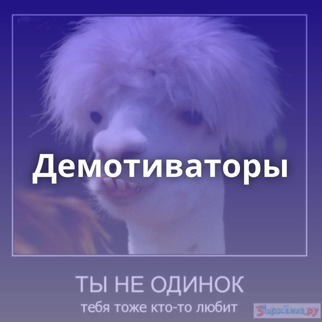 Демотиваторы