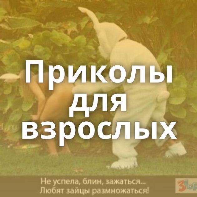 Приколы для взрослых