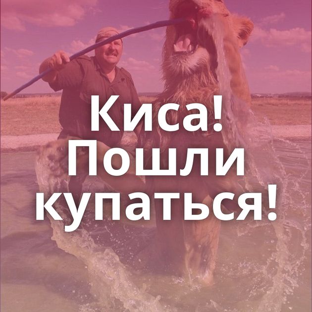 Киса! Пошли купаться!