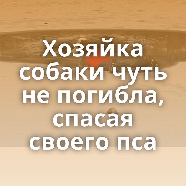 Хозяйка собаки чуть не погибла, спасая своего пса