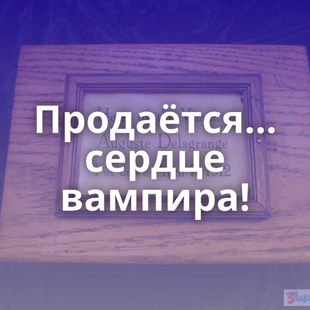 Продаётся... сердце вампира!