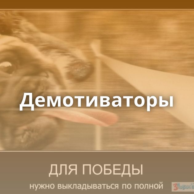 Демотиваторы