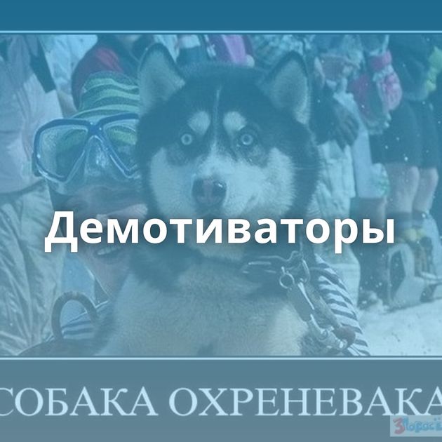Демотиваторы