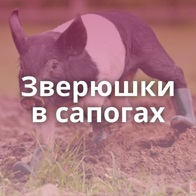 Зверюшки в сапогах