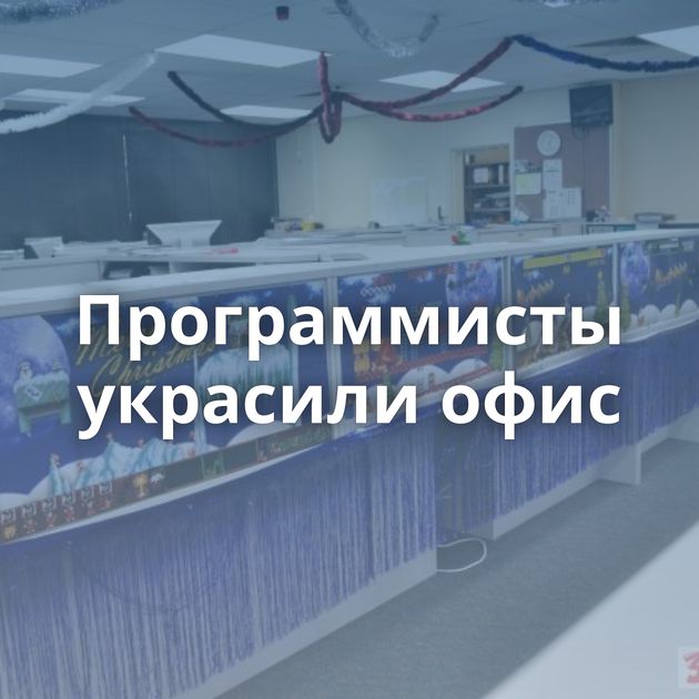 Программисты украсили офис