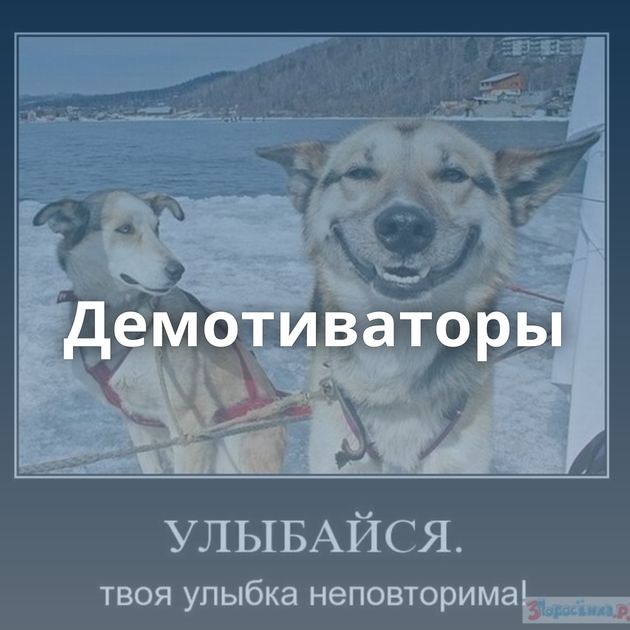 Демотиваторы