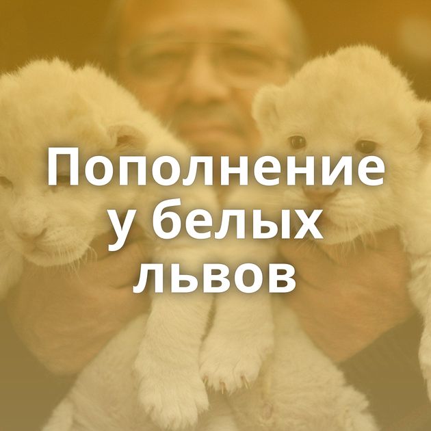 Пополнение у белых львов