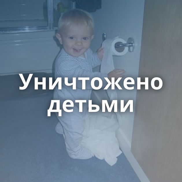 Уничтожено детьми