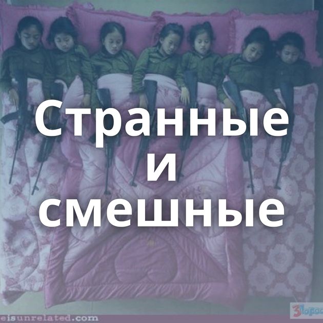 Странные и смешные