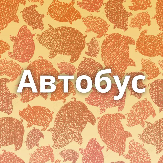 Автобус