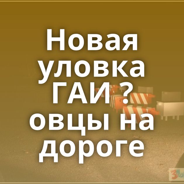 Новая уловка ГАИ ? овцы на дороге