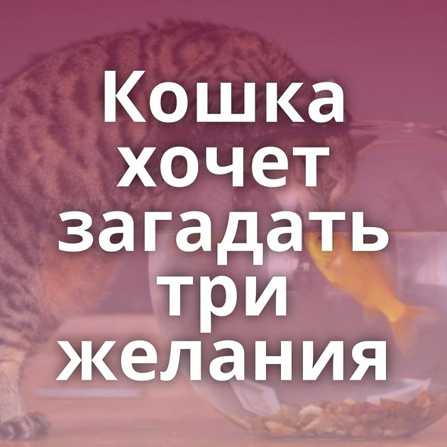 Кошка хочет загадать три желания