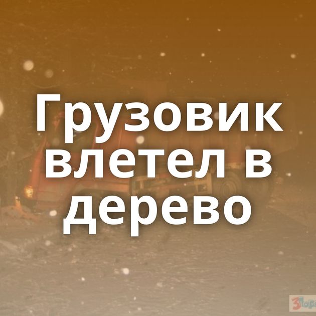 Грузовик влетел в дерево