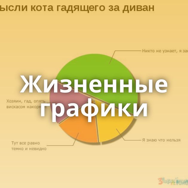 Жизненные графики