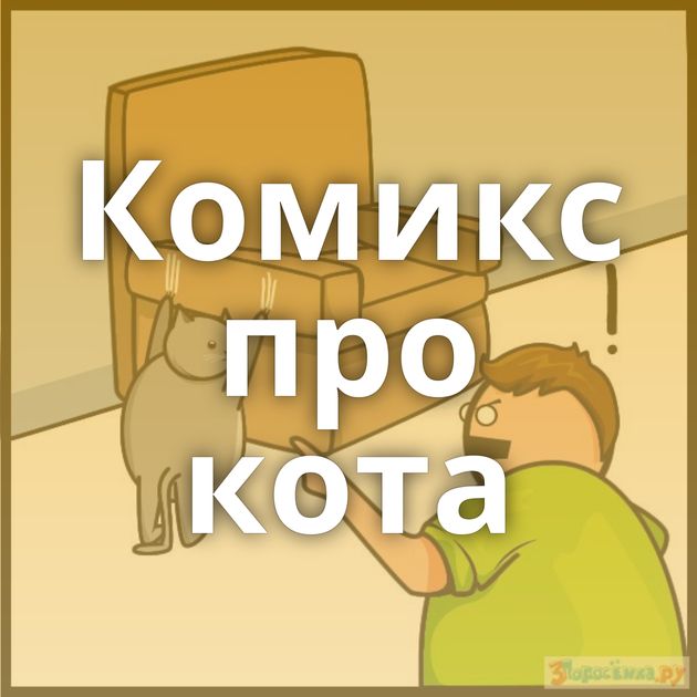 Комикс про кота