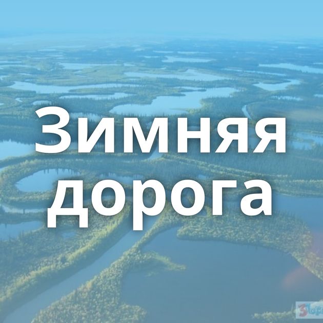 Зимняя дорога