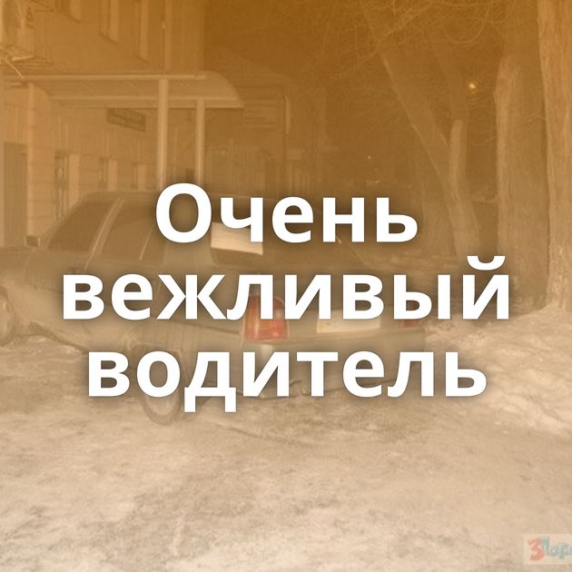 Очень вежливый водитель