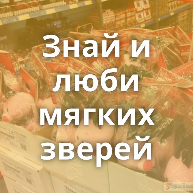 Знай и люби мягких зверей