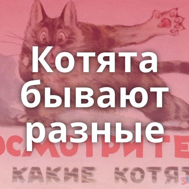 Котята бывают разные