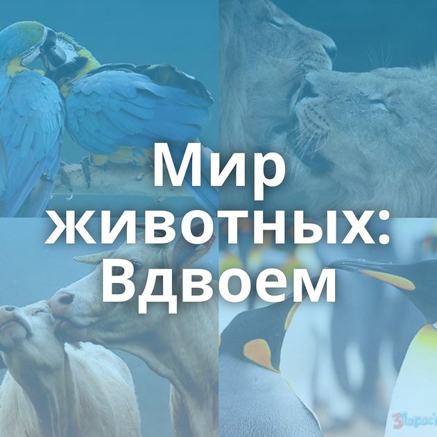 Мир животных: Вдвоем