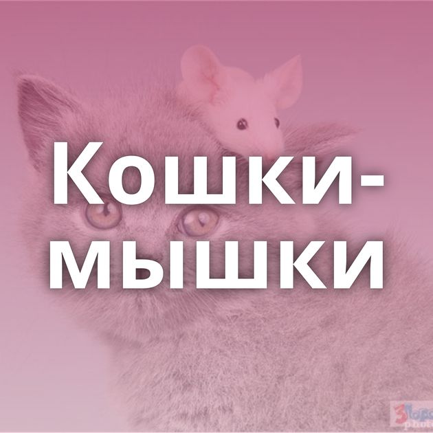 Кошки-мышки