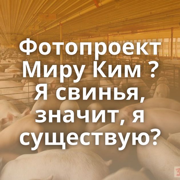 Фотопроект Миру Ким ?Я свинья, значит, я существую?