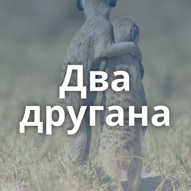 Два другана