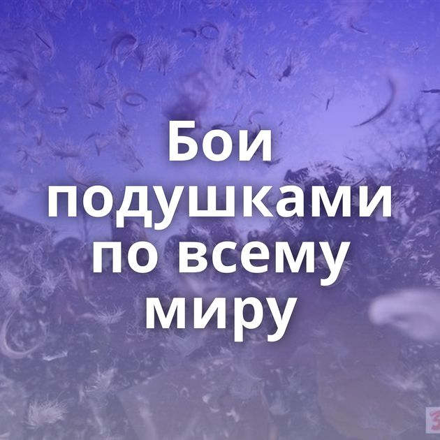 Бои подушками по всему миру