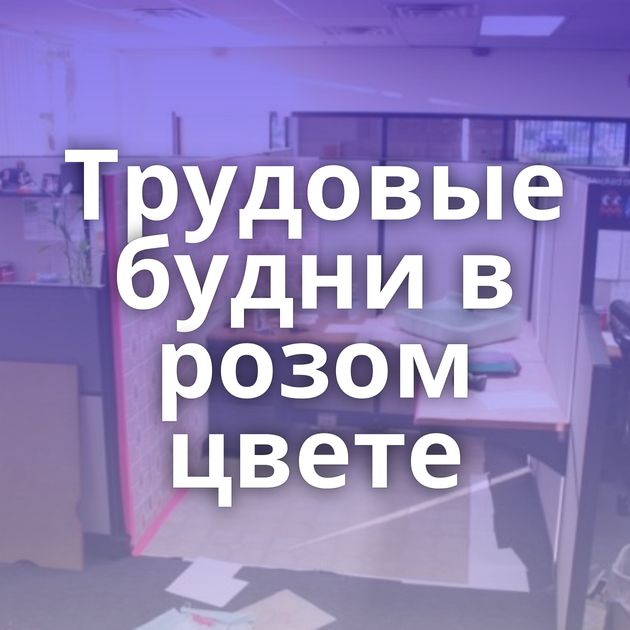 Трудовые будни в розом цвете