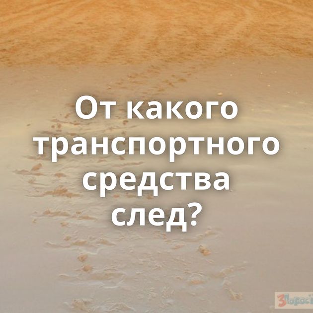 От какого транспортного средства след?