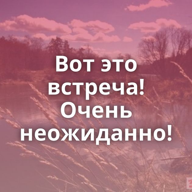 Вот это встреча! Очень неожиданно!