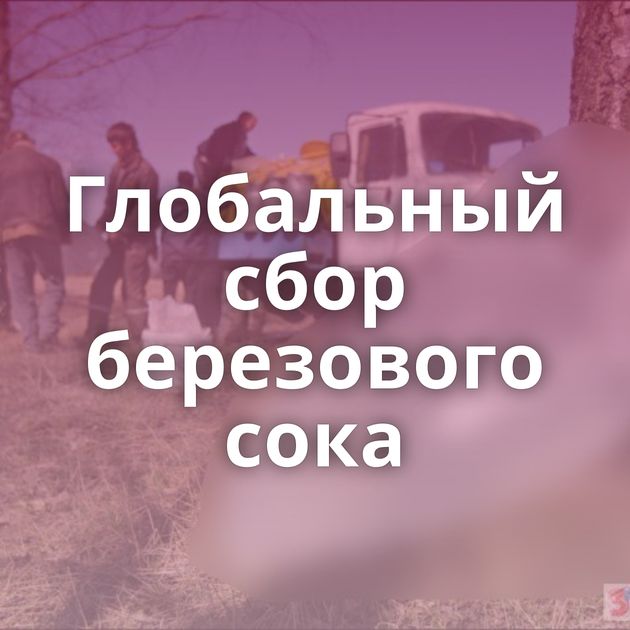 Глобальный сбор березового сока