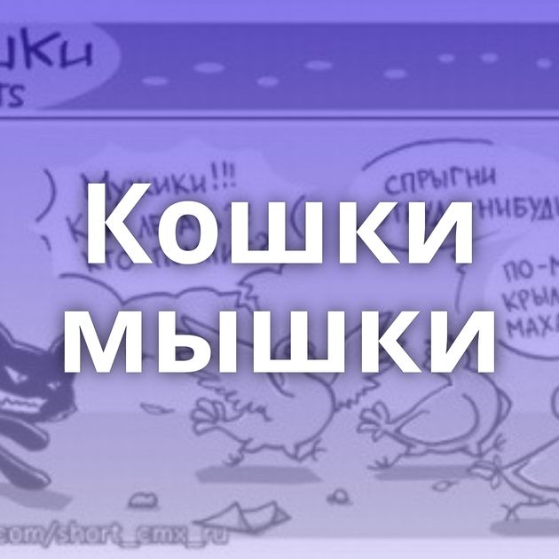 Кошки мышки