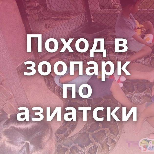 Поход в зоопарк по азиатски