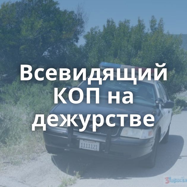 Всевидящий КОП на дежурстве