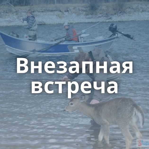 Внезапная встреча