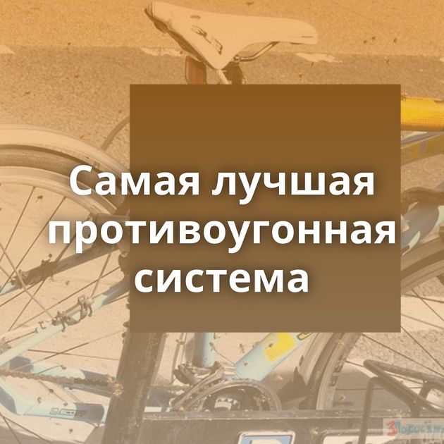 Самая лучшая противоугонная система