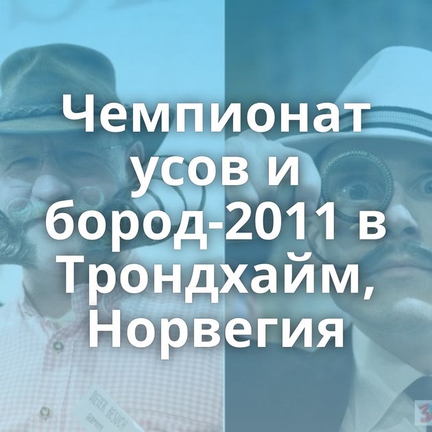 Чемпионат усов и бород-2011 в Трондхайм, Норвегия