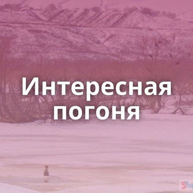 Интересная погоня