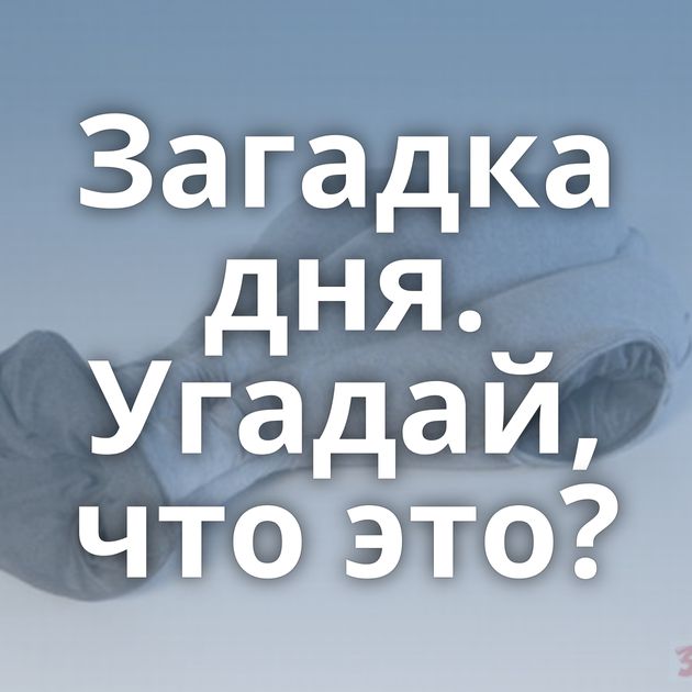 Загадка дня. Угадай, что это?