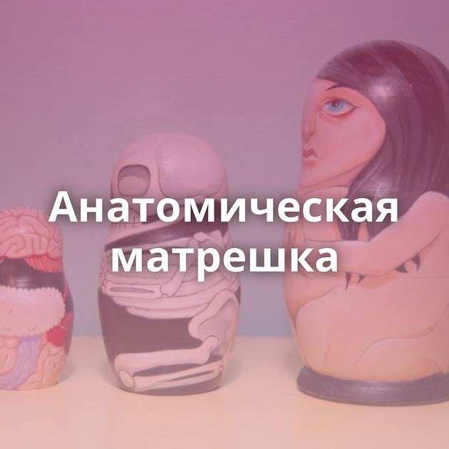 Анатомическая матрешка