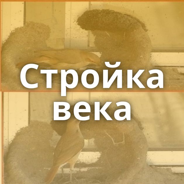 Стройка века