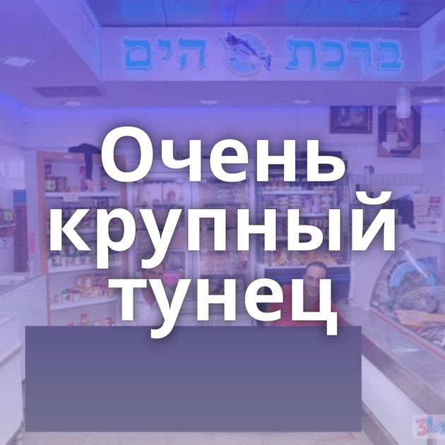 Очень крупный тунец