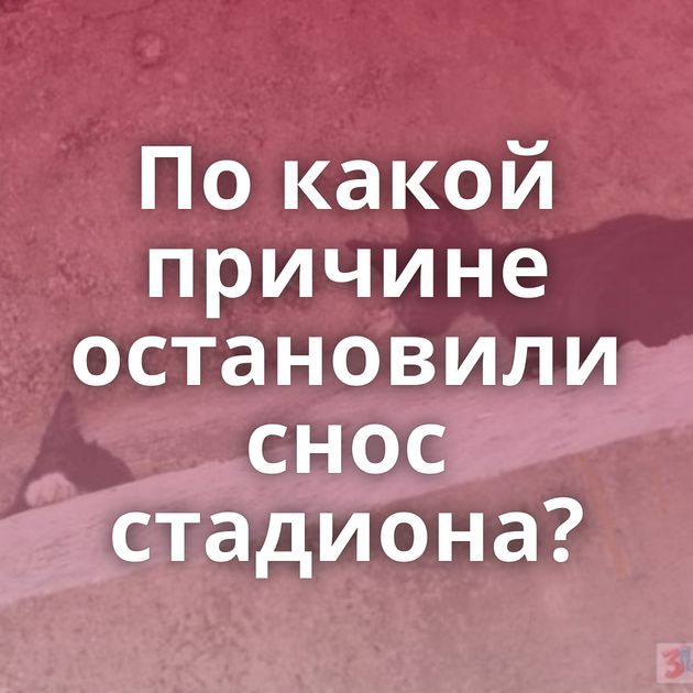 По какой причине остановили снос стадиона?