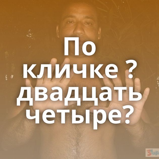 По кличке ?двадцать четыре?